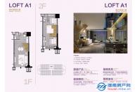 loft A1 复式家庭公寓